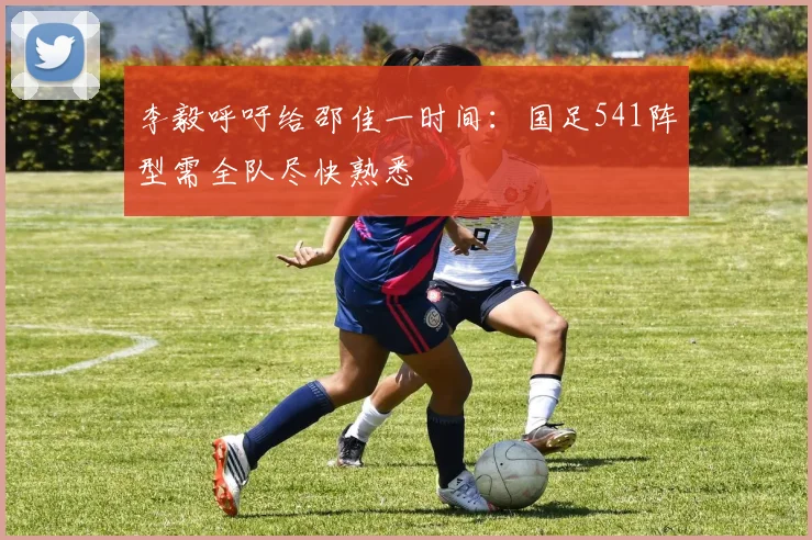 李毅呼吁给邵佳一时间：国足541阵型需全队尽快熟悉